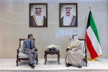وزير الخارجية يبحث مع مدير الوكالة الدولية للطاقة الذرية سبل تعزيز التعاون
