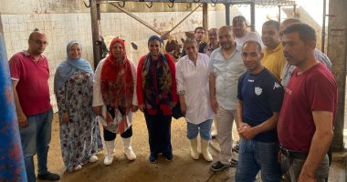 مجزر جامعة الإسكندرية: ذبح 1226 رأس ماشية منذ بداية عيد الأضحى