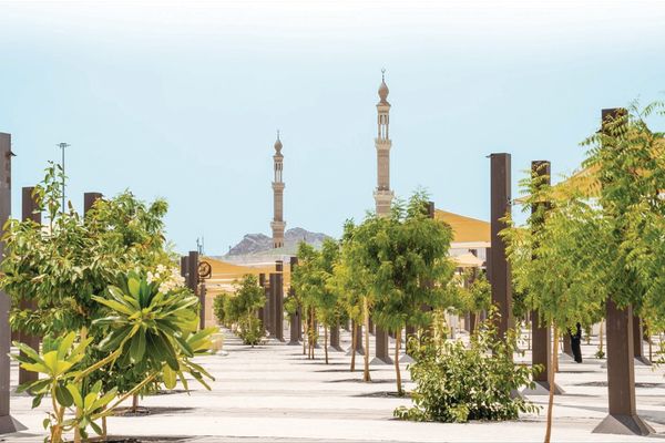 تطوير وتلطيف الساحات المحيطة بمسجد نمرة