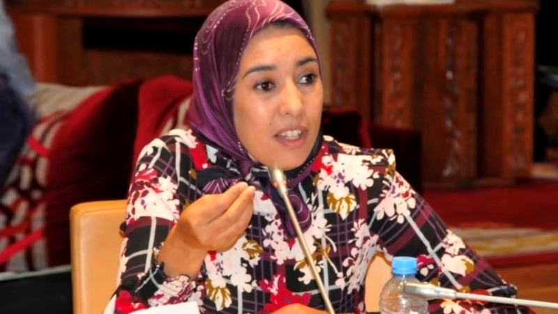 ماء العينين: "الله يصبرنا على هاذ الحكومة.. لا قوانين تفرح ولا تشريع زين"