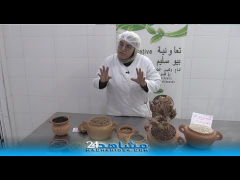 Seeds forgotten for centuries are reborn by the hands of rural women in the Chefchaouen region.