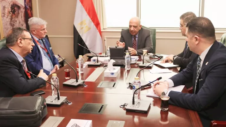 وزير الكهرباء: زيادة نسبة المكون المحلي في المحطات النووية