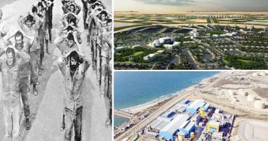 من بطولات التحرير إلى صناعة المستقبل.. بالكتب سيناء أرض المعركة ومجال التنمية وذاكرة الوطن.. «اليوم السابع» ترصد 13 كتابًا تقدم سيرة كاملة لأرض الفيروز تتنوع بين قصص المعارك وبطولاتها والأمن القومى وا