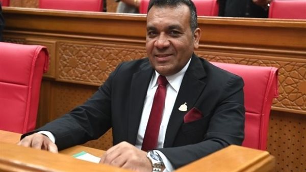 النائب أشرف مرزوق: المباحثات المصرية الكونغولية تفتح آفاقا جديدة للاستثمار والتبادل التجاري