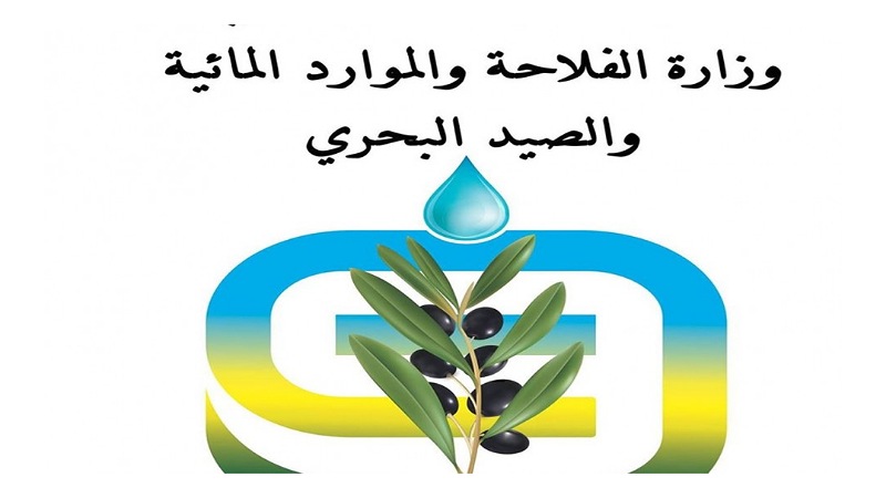 رياح قوية وعواصف بحرية: وزارة الفلاحة تصدر بلاغًا تحذيريًا للفلاحين والبحارة