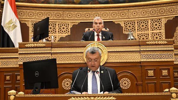 وكيل الشيوخ يطالب بحد أدنى للمعاشات أسوة بالأجور