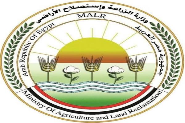 "الزراعة" تعلن ذبح 35,514 أضحية بالمجازر الحكومية مجاناً للمواطنين