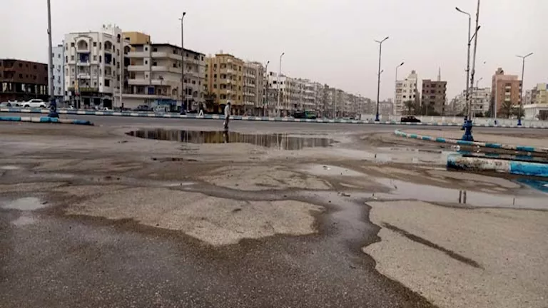 نفوق حمار بسبب كابل كهرباء مكشوف فى السويس