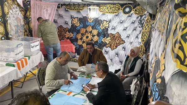 بدء فرز الأصوات في جولة الإعادة للانتخابات بـ 3 فرعيات للمحامين (صور)