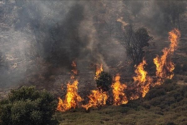 اندلاع حريق في مركبة إثر سقوط طائرة مسيّرة في شمال إسرائيل