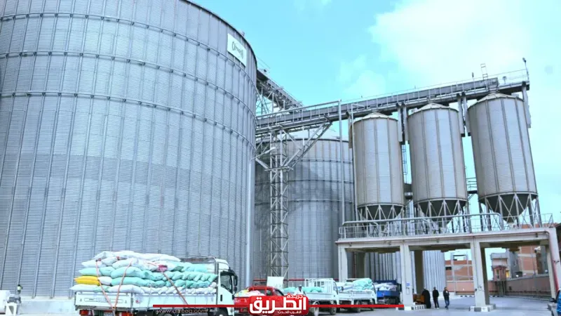 توريد 6 آلاف طن خلال يوم وارتفاع الإجمالي إلى أكثر من 56 ألف طن بالبحيرة