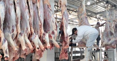 خدمات مجانية 24 ساعة.. مجازر القاهرة تفتح أبوابها لاستقبال أضاحي المواطنين