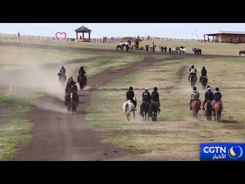 دمج الرعي والسياحة يساعد على زيادة الدخل