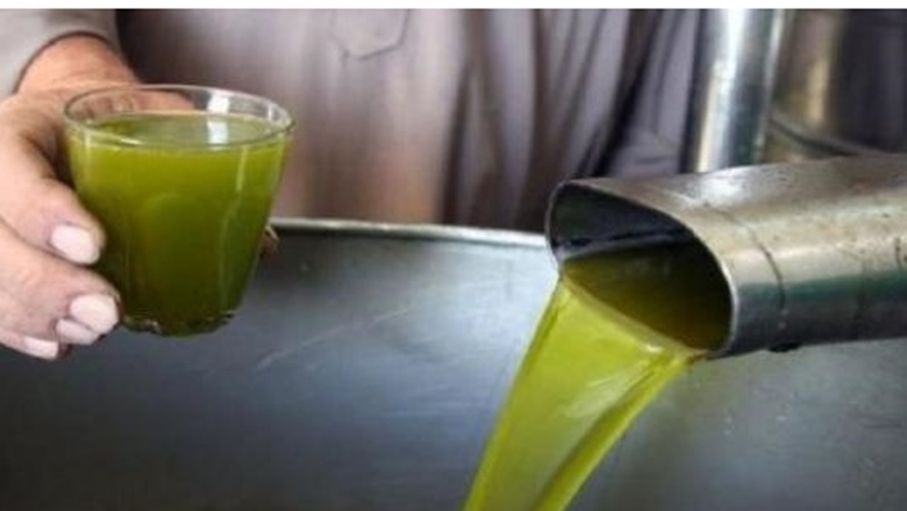 خبراء يطالبون بـ "خطة استباقية" لإنقاذ موسم الزيتون المقبل