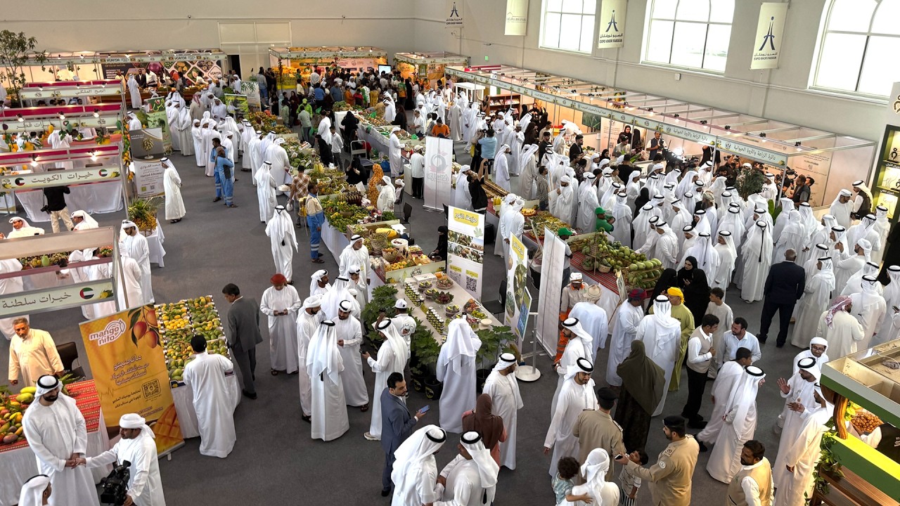 مهرجان خورفكان للمانجو يطلق نسخته الـ5 وسط إقبال جماهيري واسع