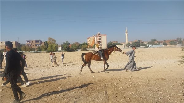 الموتسيكل بـ10 والحصان بـ15.. إقبال أهالي سوهاج على ألعاب المرماح في أول أيام عيد الفطر (فيديو)