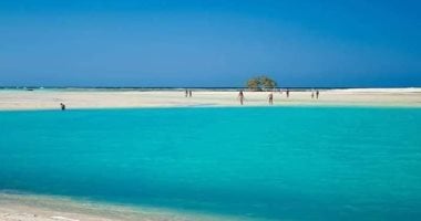 مرسى علم مالديف مصر وجوهرة شواطئها.. شرم اللولى والقلعان وخلجان أبو دباب ومبارك وتنضبه أجمل خلجانها .. وبحيرة النيزك وصمداى صاحبة ثالث أكبر تجمع للدلافين فى العالم أهم مواقعها الطبيعية