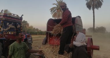أطنان القمح تتوافد مع المزارعين بالأقصر على شون وصوامع إسنا وأرمنت