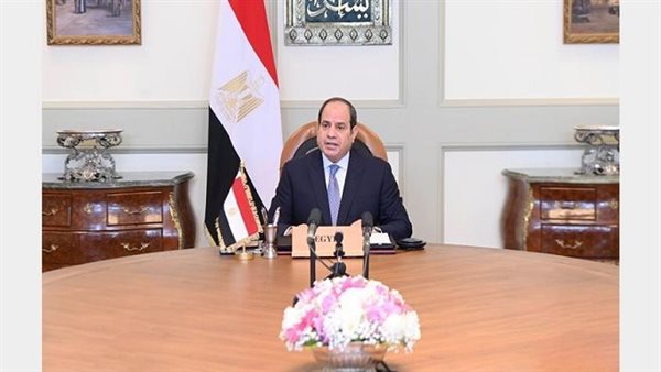 السيسي يوجه بتعزيز شراكات التعليم العالي وإنشاء أفرع أجنبية