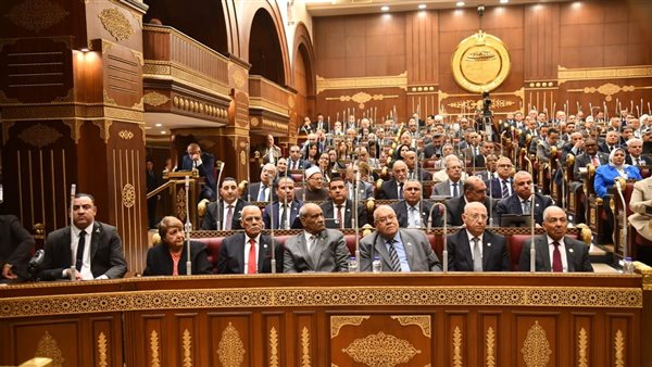 الشيوخ يناقش تقرير خطة التنمية ويحيل اقتراحات إلى الحكومة الأسبوع المقبل
