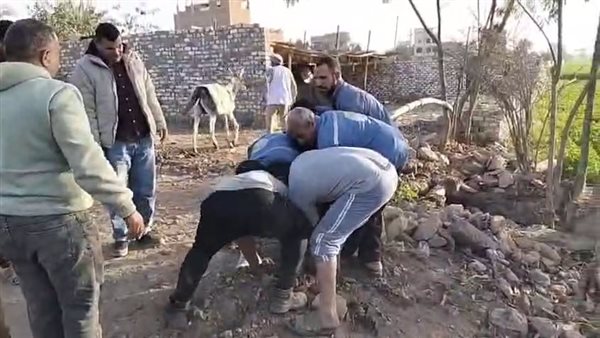 إزالة فورية لتعدٍ على أراضٍ زراعية في دهشور بالجيزة