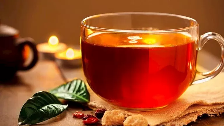ما مخاطر أكياس الشاي المصنوعة من البلاستيك؟