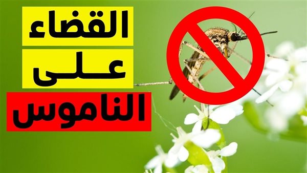 أفضل طرق طبيعية لطرد الناموس من البيت