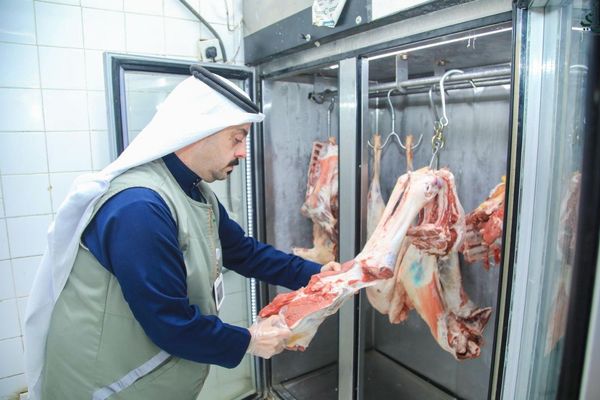 تكثيف الرقابة على الأسواق والمسالخ في حائل استعدادًا لعيد الفطر