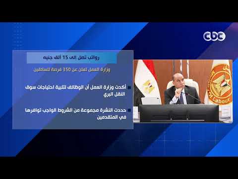 رواتب تصل إلى 15 ألف جنيه.. وزارة العمل تعلن عن 350 فرصة للسائقين