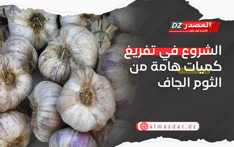 الشروع في تفريغ كميات هامة من الثوم الجاف