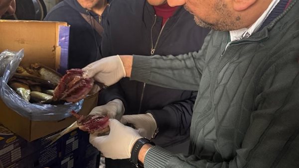 ضبط 6 أطنان رنجة فاسدة في كفر الزيات بالغربية