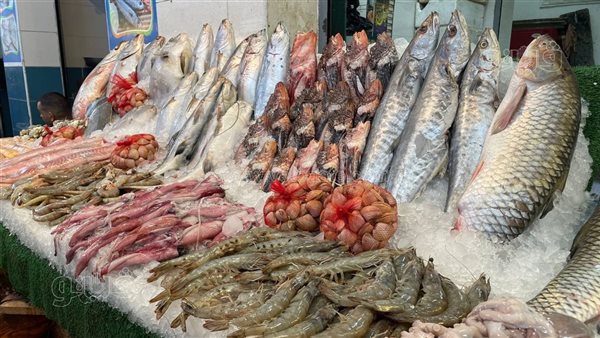 سعر السمك اليوم الجمعة، انخفاض 4 أصناف منها البلطي وارتفاع الكابوريا 10 جنيهات