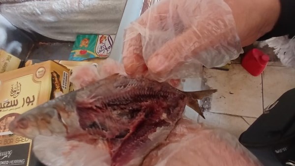 ضبط 2 طن و300 كيلو رنجة غير صالحة للاستهلاك بالغربية