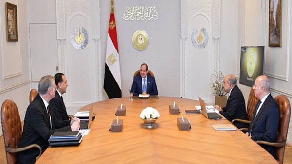 تفاصيل اجتماع الرئيس السيسي مع وزيري الكهرباء والبترول بحضور مدبولي (فيديو)