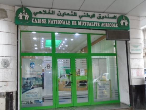جهاز التأمين ضد الأخطار الفلاحية الكبرى سيغطي شعبة الحبوب في مرحلة أولى