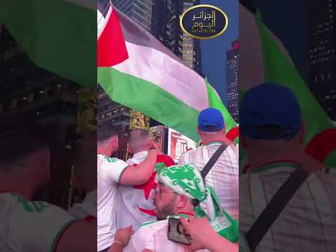 They're causing a sensation in America #Algeria #Watch #Breaking #Trend