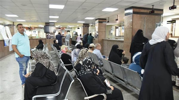 محافظ بورسعيد يضرب بيدٍ من حديد.. إحالة 63 موظفًا بحي العرب للتحقيق بسبب الغياب والتأخر عن العمل