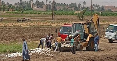 محافظ سوهاج يحيل المتهم بتبوير نصف فدان من الأرض الزراعية فى الصلعا للنيابة