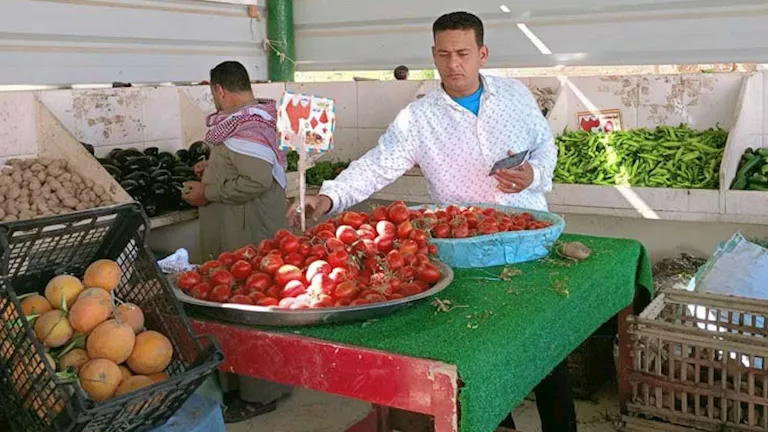 أسعار الخضروات والفاكهة والدواجن في منفذ الداخلة بالوادي الجديد