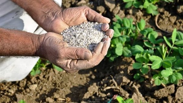 تعرف على أسعار الأسمدة في الأسواق اليوم الإثنين