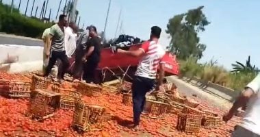 انقلاب سيارة بحمولة طماطم على طريق طنطا الإسكندرية الزراعي