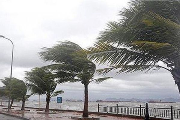 رياح نشطة وأتربة مثارة على المنطقة الشرقية