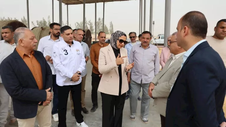 محافظ الوادي الجديد تتابع مشروع إنتاج وقود من جريد النخيل بالخارجة