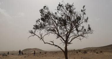 رياح شديدة تضرب شمال سيناء مع ظهر أول أيام العيد