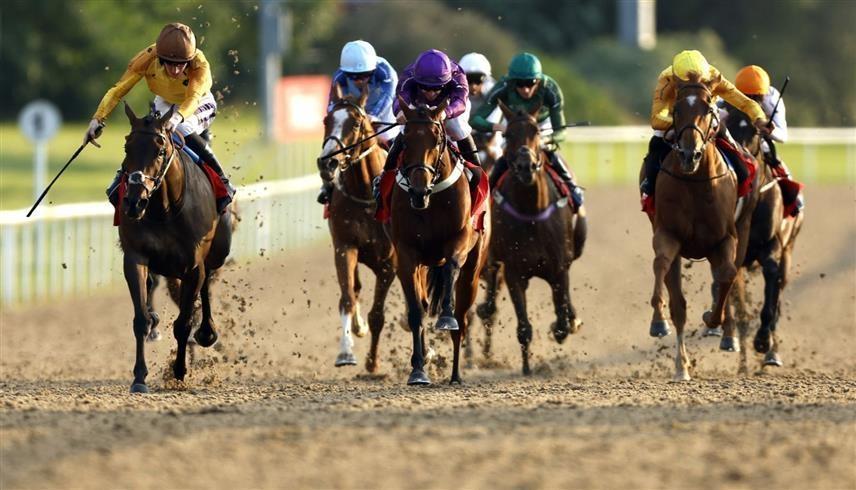 30 مليون دولار لإطلاق دوري لسباقات الخيل مستوحى من الفورمولا 1