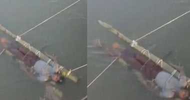 وفاة صبى بعد لدغة أفعى تشعل الجدل حول الخرافات فى الهند