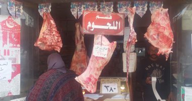 "تموين الإسكندرية" تعلن عن استعدادات استقبال عيد الأضحى المبارك فى 9 قطاعات