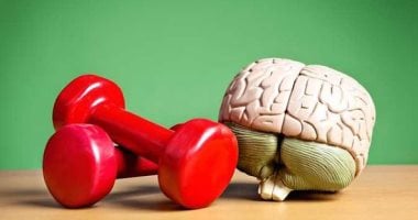 كيف تؤثر المقليات والوجبات السريعة على خلايا المخ لدى الشباب؟
