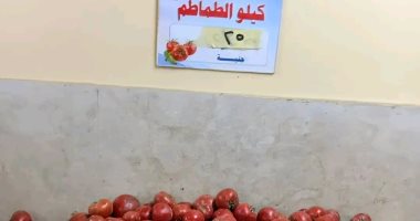 الطماطم بـ70 جنيها.. متحدث وزارة الزراعة يكشف لتليفزيون اليوم السابع الأسباب