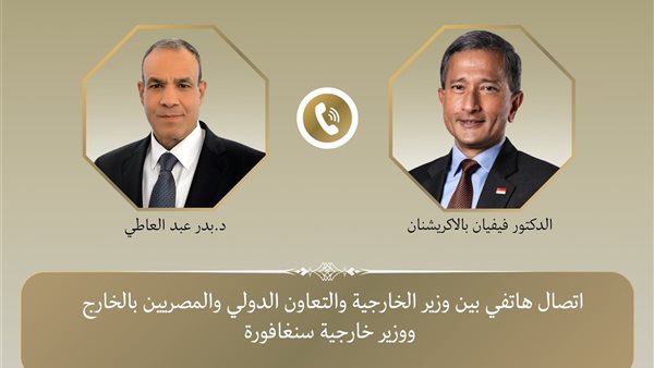 وزير الخارجية لـ نظيره السنغافوري: تهديد الملاحة في البحر الأحمر يؤثر على الاقتصاد العالمي